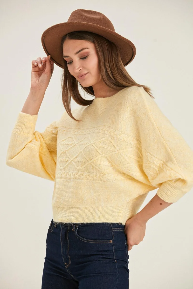 الكسندر جاردي Batwing Sleeve Sweater (B22-5750)