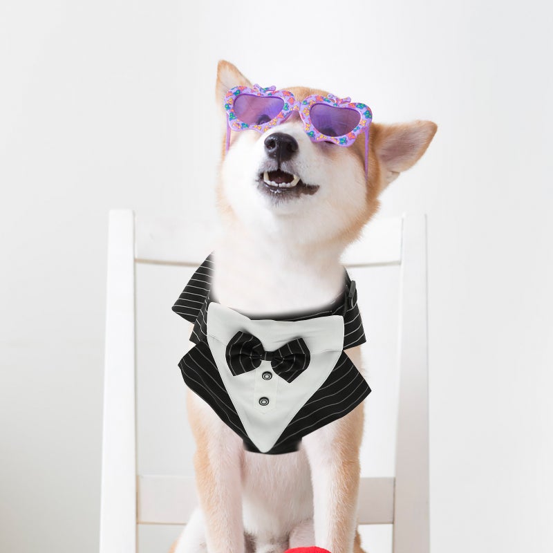 1 Set of Decorative Dog Scarf Delicate Dog Suit Wear-resistant Dog Tuxedo Dog Accessory - Image 3