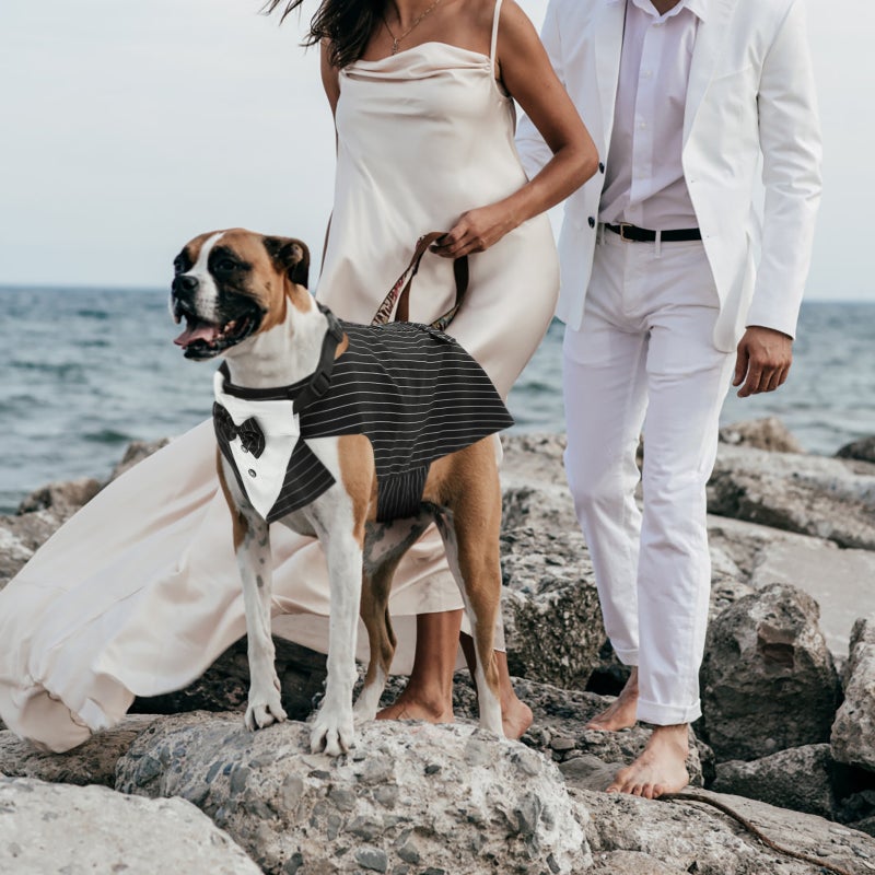 1 Set of Decorative Dog Scarf Delicate Dog Suit Wear-resistant Dog Tuxedo Dog Accessory - Image 1