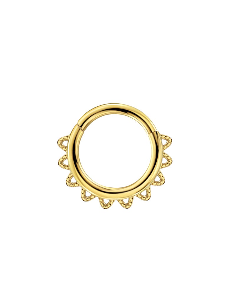 FANSING 16g Septum Rings for Women Gold Septum Jewelry 16 Gauge 8mm Daith Piercing Jewelry Surgical Steel Hoop - Image 1