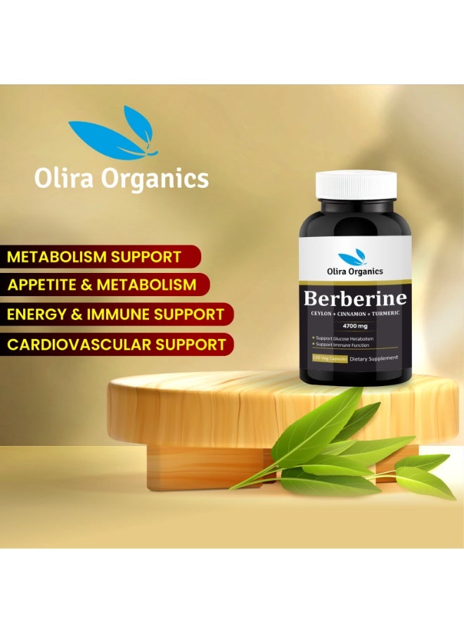 Olira Organics Berberine 4700mg 120 Veg Capsules - Image 3