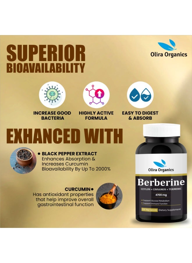 Olira Organics Berberine 4700mg 120 Veg Capsules - Image 4