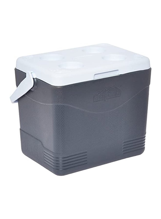 Cosmoplast Durable BPA-Free Picnic Ice Box with Handle Grey 24 L  - Image 1