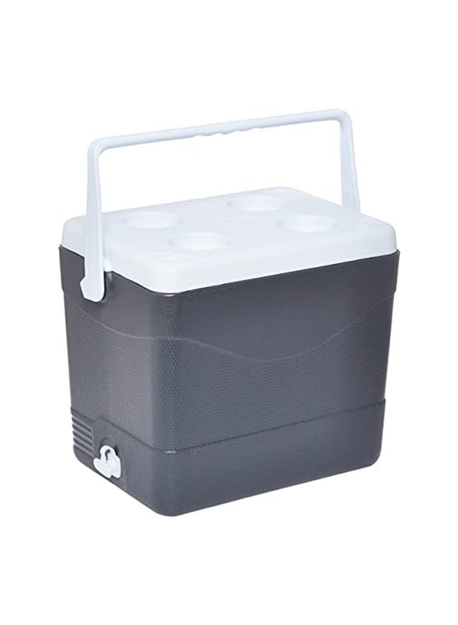 Cosmoplast Durable BPA-Free Picnic Ice Box with Handle Grey 24 L  - Image 2