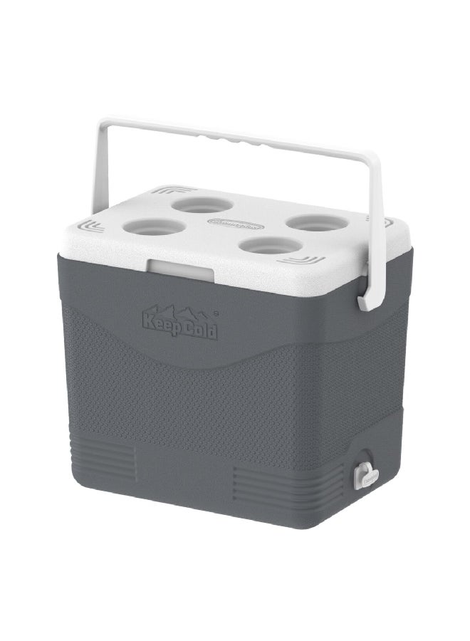 Cosmoplast Durable BPA-Free Picnic Ice Box with Handle Grey 24 L  - Image 4