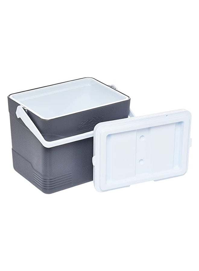 Cosmoplast Durable BPA-Free Picnic Ice Box with Handle Grey 24 L  - Image 3