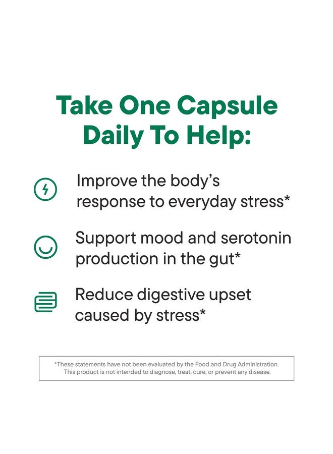 NOURI Daily Nouri Stress Probiotic | for Cortisol Management, Digestion, Daily Stress Relief & Gut Microbiome Health | 3 Probiotic Strains & Vegan Ahiflower Omega Oil | for Women & Men | 30-Day Supply - Image 2