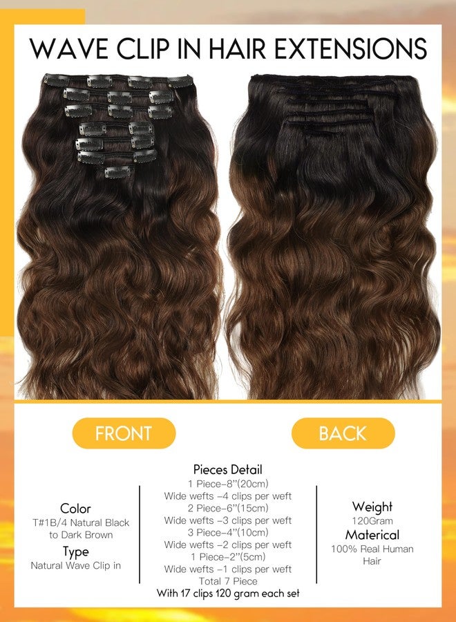 Caliee Wavy Curly Clip in Remy Human Hair Extensions Natural Wave Curl 22inch T#1B/4 Natural Black Ombre Color into Dark Brown Long Hair Clips in Hair Extension Double Weft 7Pcs 120gram Per Pack - Image 2