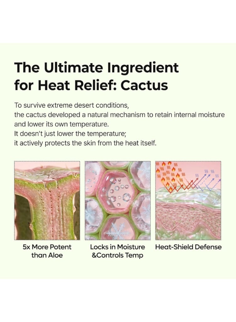 دكتور ميلاكسين Dr. Melaxin Cactox Pore Relief Multi Balm بلسم كوري للمسام لترطيب البشرة وتنعيم الملمس والانتعاش - Image 5