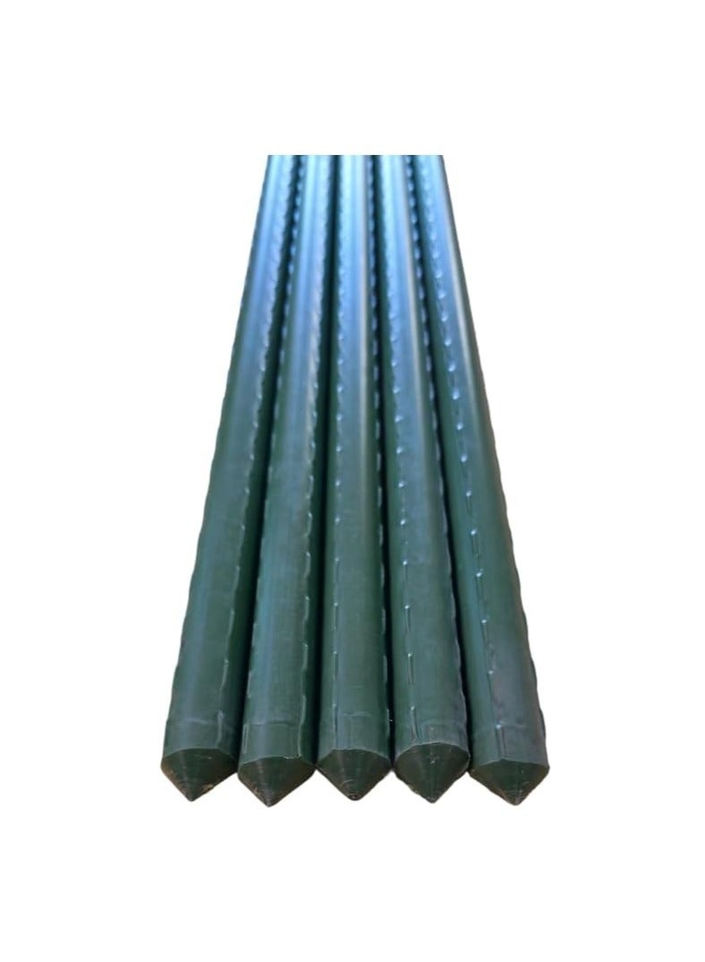 ماركة غير محددة عصا نباتية معدنية مغطاة بـ PVC – ارتفاع 210 سم، سمك 16 مم | عمود دعم حديقة ثقيل وطويل للنباتات المتسلقة، الخضروات والزهور، عبوة من 5، حدائق منزلية، مشاتل، مزارع  - Image 1