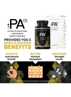 HPN Pa(7) Phosphatidic Acid Muscle Builder By  - Image 4