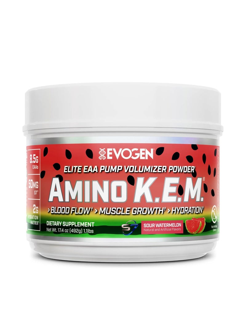 أيفوجن نيوتريشن امينو كيم الأحماض الأمينية الاساسية بطيخ حامض 492 جم - Image 1