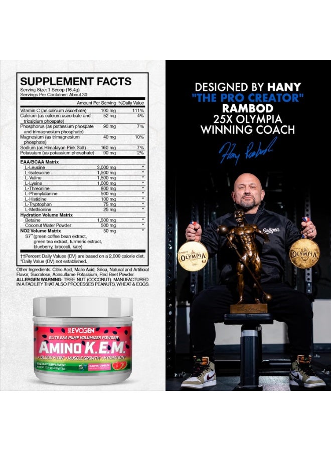 أيفوجن نيوتريشن امينو كيم الأحماض الأمينية الاساسية بطيخ حامض 492 جم - Image 2