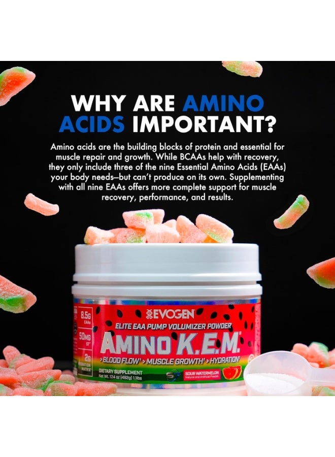 أيفوجن نيوتريشن امينو كيم الأحماض الأمينية الاساسية بطيخ حامض 492 جم - Image 5