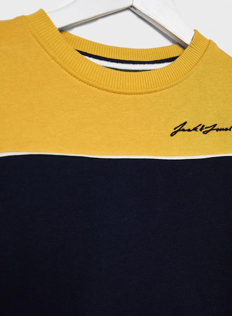 Jack & Jones Junior Teen Color Block Sweatshirt