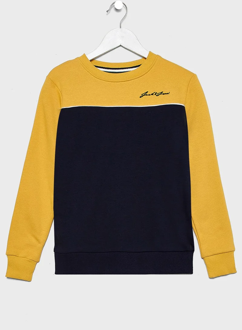 Jack & Jones Junior Teen Color Block Sweatshirt