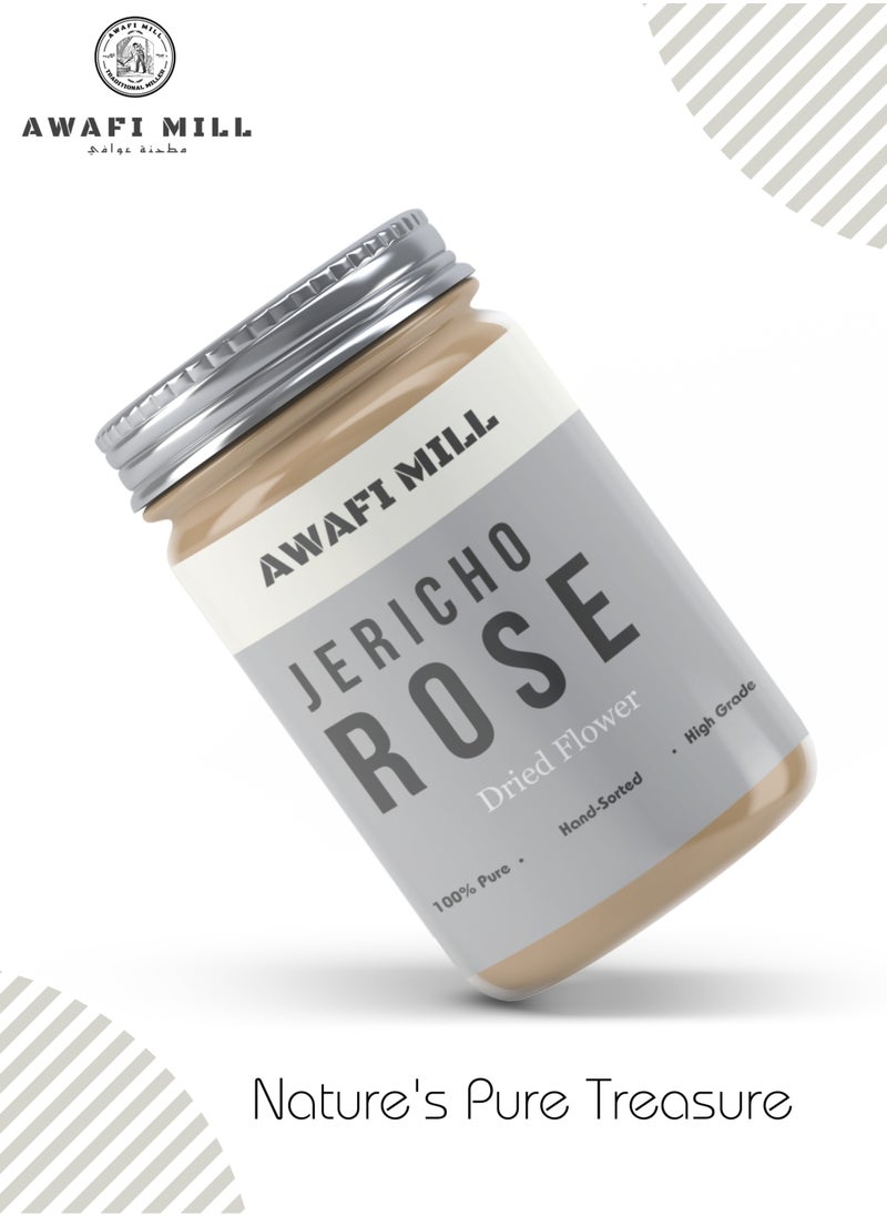 Jericho Rose | Anastatica hierochuntica