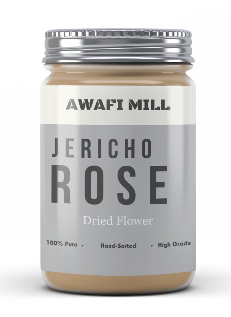 Jericho Rose | Anastatica hierochuntica