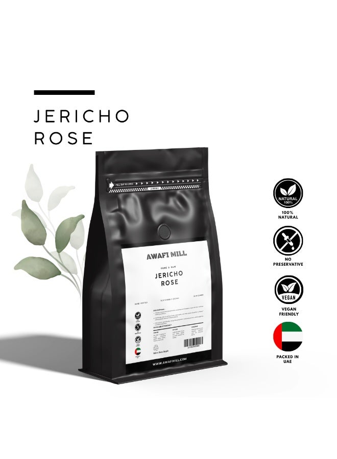 أباميك عوافي ميل جيريكو روز | أناستاتيكا هيروشونتيكا - عبوة من 3 قطع - Image 2