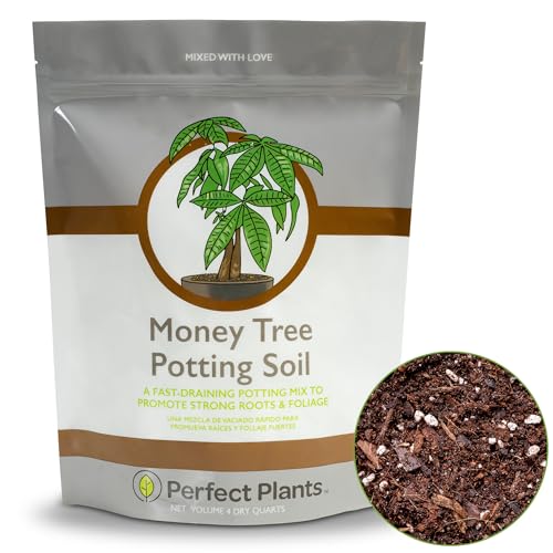 Perfect Plants Money Tree Potting Soil 4qt | Organic Coco Coir Based Plant Mix for Indoor Trees | Quickly Grow Your Indoor Forest - Image 1
