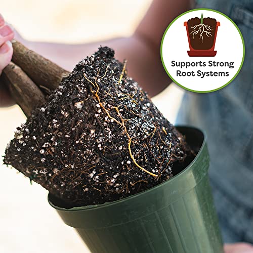 Perfect Plants Money Tree Potting Soil 4qt | Organic Coco Coir Based Plant Mix for Indoor Trees | Quickly Grow Your Indoor Forest - Image 5