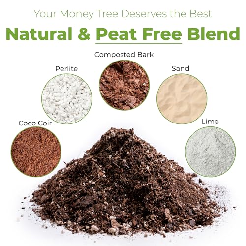 Perfect Plants Money Tree Potting Soil 4qt | Organic Coco Coir Based Plant Mix for Indoor Trees | Quickly Grow Your Indoor Forest - Image 2