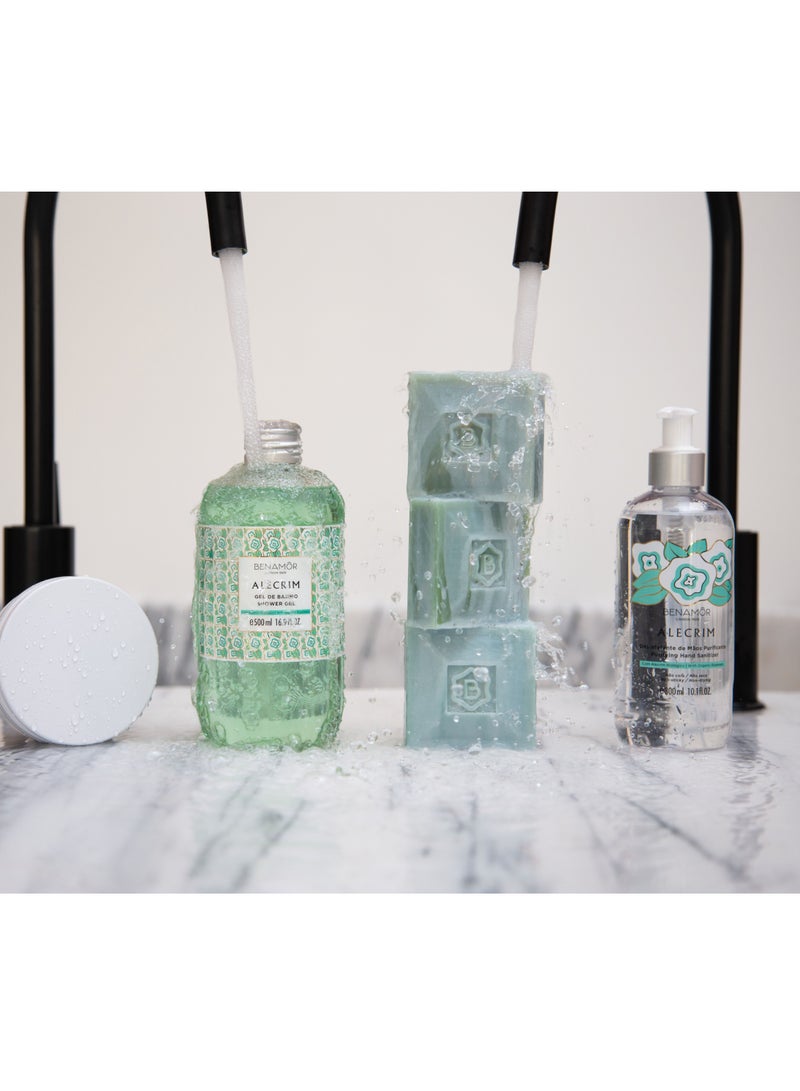 BENAMÕR Alecrim Shower Gel – Refreshing Body Wash with Organic Rosemary Oil and Glycerin | Invigorating Daily Cleanse with Herbal Scent | Vegan, Paraben-Free – 500ml - Image 2