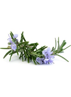 BENAMÕR Benamor Alecrim Shower Gel With Organic Rosemary Essential Oil Glycerin With Its Moisturizing Properties Keeps Skin Hydrated 500ml  - Image 3