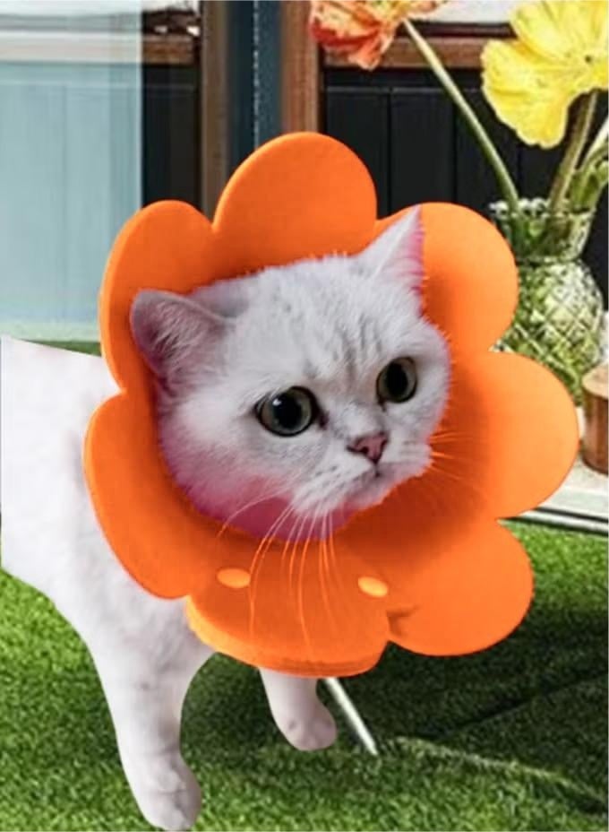 Cat and Dog Recovery Elizabeth Collar, Soft Adjustable Flower Cone for Wound Protection, Lightweight Pet E-Collar with Push Button Design - Image 1