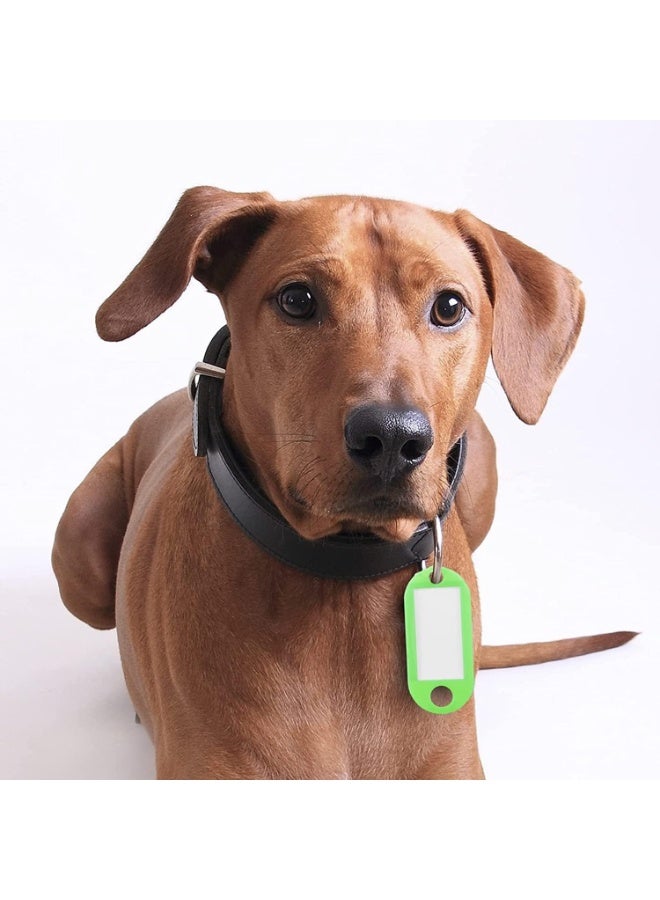 متجر ماى سوق :طقم بطاقات تعريف المفاتيح بلاستيك ملونة مع حلقة معدنية وورقة كتابة - منظّم مفاتيح للمكتب والمنزل(10 قطع) - Image 3