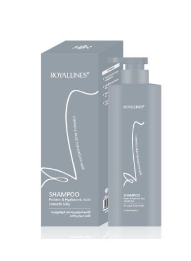 Protein & Hyaluronic Acid Smooth And Silky Shampoo 500 ml