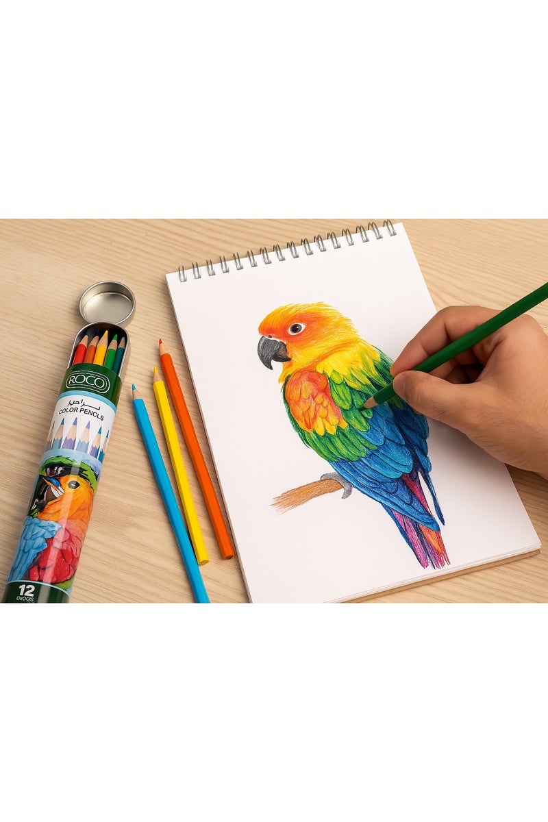 ROCO Colored Pencils Set – 12 Vibrant Colors, Smooth & Durable, Premium Art Supplies for Drawing & Coloring - Image 3