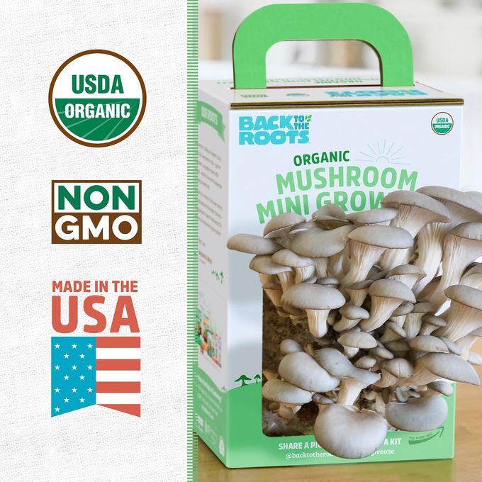 rayihni Organic Mini Mushroom Grow Kit, Harvest Gourmet Oyster Mushrooms In 10 Days, Top Gardening Gift, Holiday Gift, & Unique Gift - Image 2