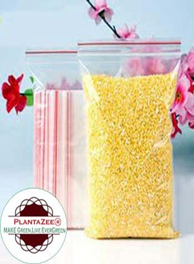 PlantaZee Zip Lock Plastic Bags Self Sealing Storage Pouch 2" X 3" inch,100 Pieces, Transparent - Image 3