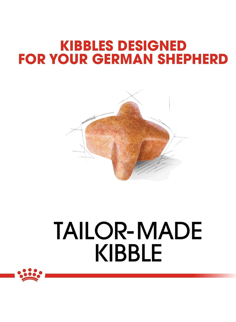 رويال كانين - تغذية صحية لسلالات الراعي الألماني البالغ - 3 كجم - Image 2