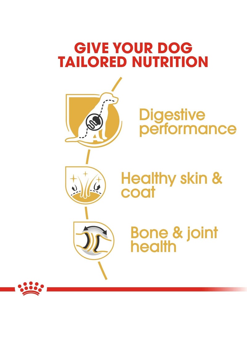 رويال كانين - تغذية صحية لسلالات الراعي الألماني البالغ - 3 كجم - Image 4