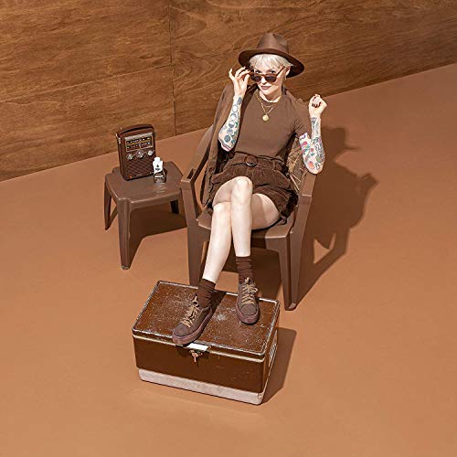 Rit All-Purpose Powder Dye, Dark Brown - Image 2