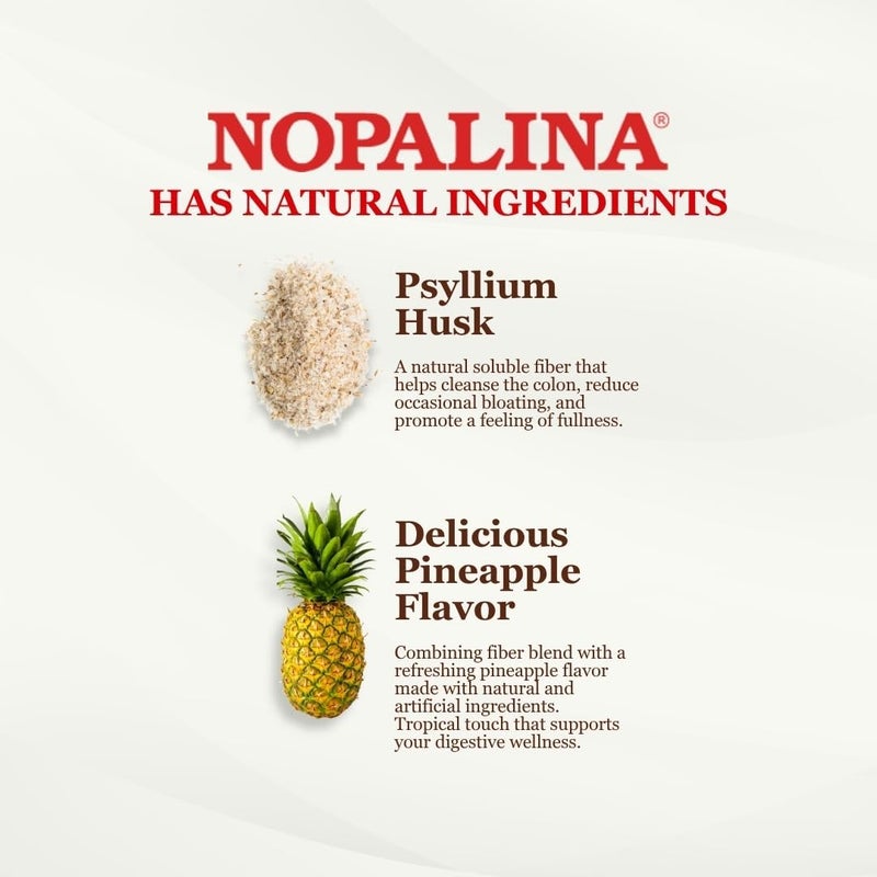 Nopalina Pineapple Flax Seed Fiber 1LB - Image 4