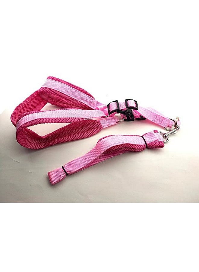 سترة مبطنة من النايلون الناعم وقابلة للتعديل مقاس 1 بوصة ومقود بمقبض طويل مثالي للمشي في الهواء الطلق/تدريب الكلاب والجراء (وردي) - Image 5