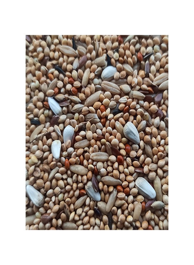 Happy Wings Mix Seed Bird Food for Budgies, Love Birds, Finches, Canaries - (900gm x 2) Pack | Premium Seed Blend | Bird Food for All Life Stages - Image 3