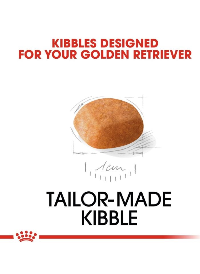 ROYAL CANIN تغذية صحة السلالة جرو جولدن ريتريفر 12 كجم - Image 2