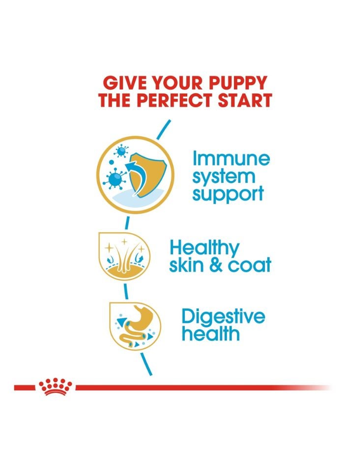 ROYAL CANIN تغذية صحة السلالة جرو جولدن ريتريفر 12 كجم - Image 3