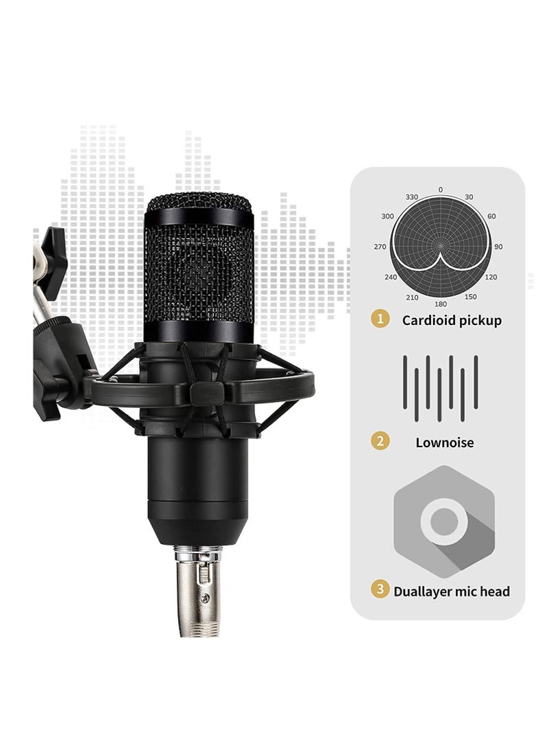 null - Podcast Equipment Set, BM-800 Mic Kit with V8 Live Sound Card, Condenser PC Gaming Mic with Professional Audio Mixer, Prefect for Streaming, Computer, Singing, Youtube, Recording (BLACK) - Image 1