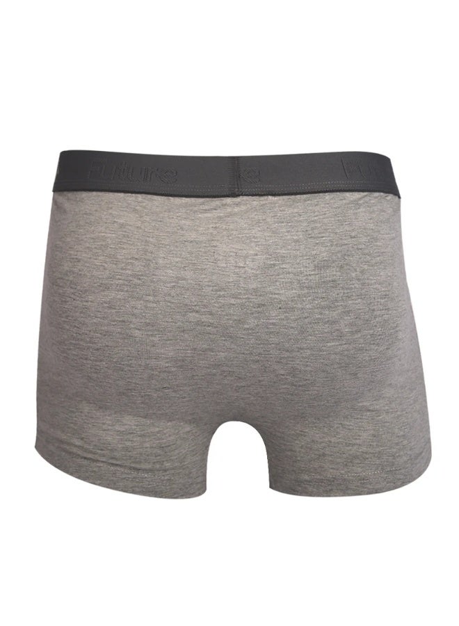 Future Boxer Future Cotton grey for Men size M - Image 1