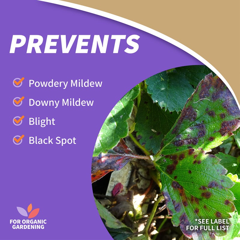 Bonide Captain Jack Copper Fungicide 16 oz Concentrated Plant Disease Control Solution for Organic Gardening - Image 3