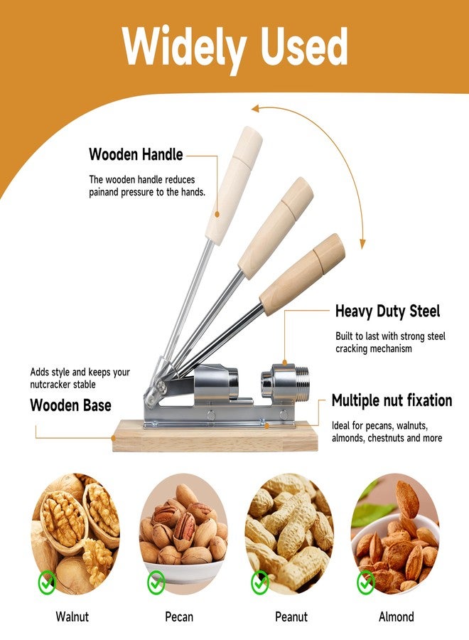 JARGUUO Nutcracker Heavy Duty Nut Cracker Tool for Pecans Walnuts Chestnuts - Manual Nut Crackers for All Nuts with Wooden Base, Nutcracker for Nuts Kitchen Tool by JARGUUO - Image 5