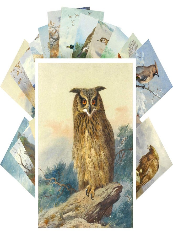 PIXILUV Vintage PostCards 24 pcs AMAZING WILD BIRDS Archibald Vintage Antique Museum Painting Owl Eagle Duck - Image 1