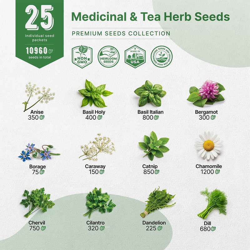 Organo Republic مجموعة بذور الأعشاب الطبية والشاي من أورغانو ريبابليك 25 نوعًا للزراعة الداخلية والخارجية. 10900+ بذور حديقة غير معدلة وراثيًا: يانسون، بوراج، كزبرة، بابونج، هندباء، إكليل الجبل، نعناع. - Image 3