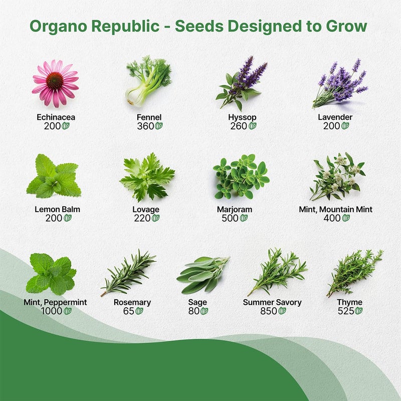Organo Republic مجموعة بذور الأعشاب الطبية والشاي من أورغانو ريبابليك 25 نوعًا للزراعة الداخلية والخارجية. 10900+ بذور حديقة غير معدلة وراثيًا: يانسون، بوراج، كزبرة، بابونج، هندباء، إكليل الجبل، نعناع. - Image 4