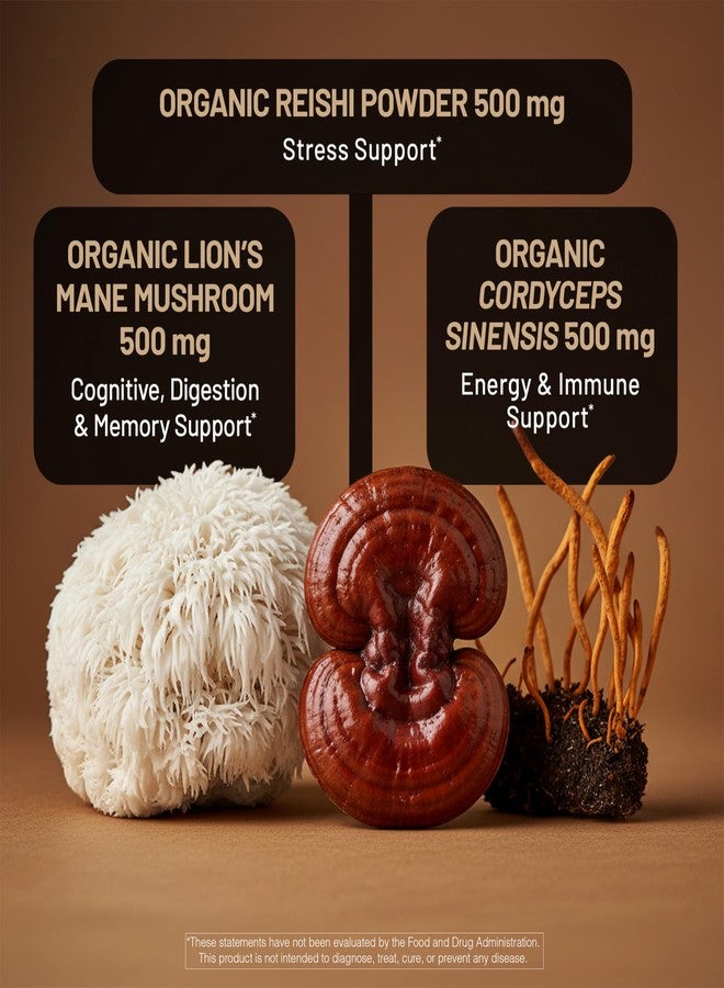 نايتشور وايز مكمل غذائي NatureWise Mushroom Complex - مع فطر عرف الأسد العضوي + فطر الريشي وفطر الكورديسيبس الصيني - مكمل غذائي من عرف الأسد مع فطر عضوي - نباتي - غير معدل وراثيًا - صنع في الولايات المتحدة الأمريكية - 90 كبسولة [تكفي لمدة 30 يومًا] - Image 4